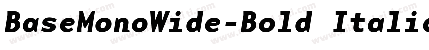 BaseMonoWide-Bold Italic字体转换